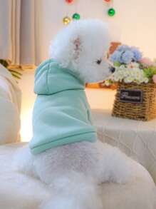 1 件宠物服装，优雅纯色连帽衫，适合小型犬或猫，适合秋冬季，舒适保暖，薄荷绿 - 綠色 - 查看 5