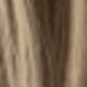 Ash Brown mix Ash Blonde
