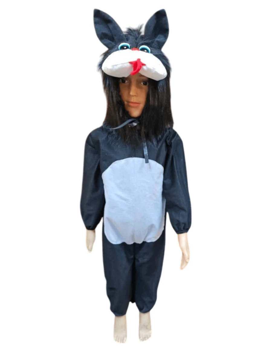 Disfraz Gato Infantil Festival Primavera Carnaval Escuela - Multicolor - Ver 1