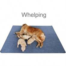 Peepeego Non-Slip Dog Pads Extra Large 72" X 72", Washable Puppy Pads With Fast Absorbent, Reusable, Waterproof For Training, Whelping, Housebreaking, Incontinence, For Playpen - 72x72 inch (Gói 1) - Xem 4