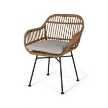 Rodney Woven Faux Rattan Chairs With Cushions Set Of 2