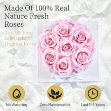 7-Piece Preserved Roses In A Box For Delivery Prime - Forever Flowers - Immortal Roses Birthday Gifts For Her - Christmas Valentines Day Gifts For For Mom/Girlfriend/Wife/Grandma - Pink - 黑盒子裡的黑玫瑰 - 查看 2