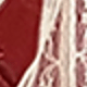 Nhiều màu