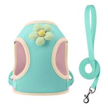 Set pettorina e guinzaglio per cani bicolore, imbracatura toracica traspirante e ammortizzante per cani di piccola taglia come il barboncino