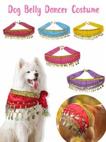 Hunde Bauchtanz Kostüm - Welpen Outfit mit pailletten Hüftkette & hüftschwingender Rock - ideal für Corgi und Welpen Geburtstagsfeiern