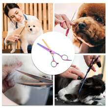 1 Pc Dog Grooming Scissors For Pets Shop 5.5 Inches