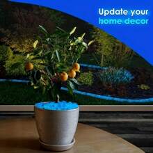 2000pcs/Bag Luminous Sand, Wishing Star Bottle, Fluorescent Landscaping, Horticultural Aquarium Set, 50g Fluorescent Particles Of Light-Emitting Small Gravel Paving