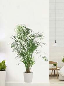 1pc Home Decorations Classic Style Green Potted Plant Wall Sticker, For Office, Bedroom, Living Room And Entrance, Self-Adhesive PVC Decor - Fashionable Plant Wall Mural, Wall Decal, Vinyl Decal For Home Decorations, Wall Decoration Items Refresh Your Home Gifts Birthday Graduation Room Decor Bathroom Decor Bedroom Decor Room Decoration Stuff Living Room Decor House Decor Home Decor Living Room Wall Art Wall Paper Stickers
