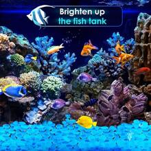 2000pcs/Bag Luminous Sand, Wishing Star Bottle, Fluorescent Landscaping, Horticultural Aquarium Set, 50g Fluorescent Particles Of Light-Emitting Small Gravel Paving