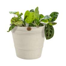 Paquete 3 Macetas Jardín Interior Exterior Decoración 13lts - Blanco - Ver 2