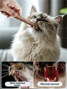 1根48厘米天然猫咪磨牙棒，可爱羽毛装饰，彩色铃铛点缀，适合日常玩耍、节日庆祝和独处时光，是猫咪的理想玩具。 - 彩色 - 查看 8
