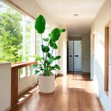 Maceta Plástico Moderna Tipo Cerámica 5.6 L Decoración Jardín - Beis - Ver 8