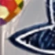 Multicolor