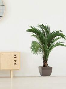 1pc Home Decorations Classic Style Green Potted Plant Wall Sticker, For Office, Bedroom, Living Room And Entrance, Self-Adhesive PVC Decor - Fashionable Plant Wall Mural, Wall Decal, Vinyl Decal For Home Decorations, Wall Decoration Items Refresh Your Home Gifts Birthday Graduation Room Decor Bathroom Decor Bedroom Decor Room Decoration Stuff Living Room Decor House Decor Home Decor Living Room Wall Art Wall Paper Stickers