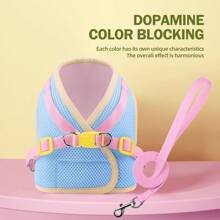 Set pettorina e guinzaglio per cani bicolore, imbracatura toracica traspirante e ammortizzante per cani di piccola taglia come il barboncino