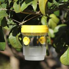 1/2pcs New Fruit Garden Insect Trapping Device, Wasp Trap, Fruit Fly Trap - Multicolor - View 4
