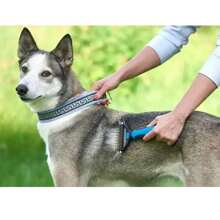 Cepillo Deslanador Para Perro Gato Peine Mascotas - Azul - Ver 2