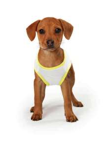 宠物服装彩色印花 T 恤，圆领套头衫，适合小型、中型和大型犬和猫 - 白色 - 查看 4