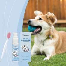 Cat Chin Blackhead Cleansing Liquid: Gentle Cleaning Solution For Cats And Dogs Oral Hygiene, Pet Oral Care Kit - Multicolor - View 3
