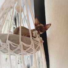 1 件 Macrame 猫吊床，波西米亚风格吊床，手工编织流苏壁挂挂毯，适合所有季节的猫秋千，不包括垫子