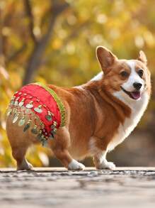 Hunde Bauchtanz Kostüm - Welpen Outfit mit pailletten Hüftkette & hüftschwingender Rock - ideal für Corgi und Welpen Geburtstagsfeiern