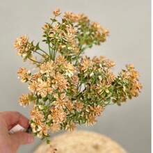Simulation Of Five-Forked Baby's Breath Plant Wedding Photo Decoration Artificial Flower Flower Arrangement Indoor And Outdoor Decoration Project Landscaping Hotel Shop Window Flower Arrangement Ornaments,Garden Decor,Outdoor Plant,Gardening,Fake Flowers