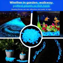 2000pcs/Bag Luminous Sand, Wishing Star Bottle, Fluorescent Landscaping, Horticultural Aquarium Set, 50g Fluorescent Particles Of Light-Emitting Small Gravel Paving