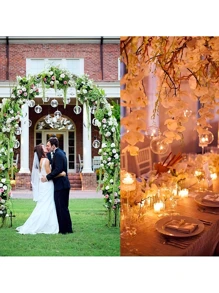 24pcs Hanging Tealight Candle Hoder Glass Globes Terrarium,2.36" Air Plants Tea Light Candle Holders For Wedding,Valentine's Day Decoration Gifts Birthday Graduation