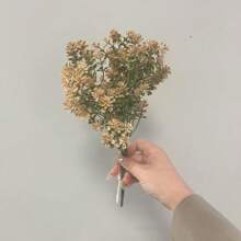 Simulation Of Five-Forked Baby's Breath Plant Wedding Photo Decoration Artificial Flower Flower Arrangement Indoor And Outdoor Decoration Project Landscaping Hotel Shop Window Flower Arrangement Ornaments,Garden Decor,Outdoor Plant,Gardening,Fake Flowers