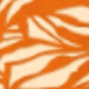 顏色 23