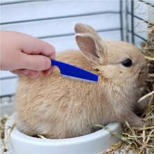 Rabbit Grooming Kit Tear Stain Remover Cleaning Combs Pet Nail Clipper Double-Sided Shampoo Bath Brush For Guinea Pig Bunny - Multicolor - View 5