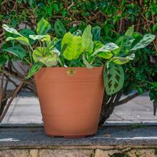 Flower Pots & Planters - Coral Orange - View 8