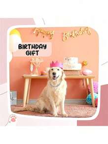 1 Pieza Collar Cubano de Hip Hop para Mascotas, Collar de Mascota con Imitación de Diamantes, Accesorios de Collar de Aleación para Mascotas, Accesorios de Estilo Hip Hop, Adecuado para Uso Diario y Fiestas, Regalos de Halloween y Navidad (Se recomienda pedir una talla talla grande grande)