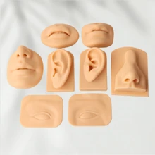 Modèle en silicone avec caractéristiques sensorielles artificielles humaines. Oreilles, yeux, bouche, nez pour l'enseignement, la pratique, le choix des oreilles, l'acupuncture des oreilles, les boucles d'oreilles, les appareils auditifs. Modèle en gel de silice.