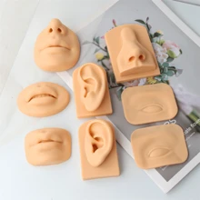 Modèle en silicone avec caractéristiques sensorielles artificielles humaines. Oreilles, yeux, bouche, nez pour l'enseignement, la pratique, le choix des oreilles, l'acupuncture des oreilles, les boucles d'oreilles, les appareils auditifs. Modèle en gel de silice.