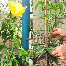 1roll 50M/164 Feet Multicolor Gift Wrapping Ribbon, Gift Wrapping Rope For Party,Christmas - Beige - View 5