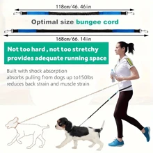 1pc Reflective Waist Pack With Retractable Dog Leash, 44-63inch Elastic Traction Rope, Outdoor Sports Running Pet Leash, Explosion-Proof Thickened Handle, Multiple Colors Available