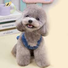 牛仔衬衫、牛仔T恤、宠物服饰、狗狗服装、猫咪公主裙、洋娃娃吊带裙、春夏新款百搭连衣裙、狗狗服装、泰迪犬服装、时尚公主裙、休闲牵引带、时尚牛仔