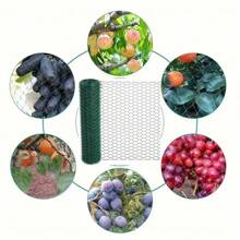1卷铁丝鸡笼网卷，用于植物保护和DIY花卉工艺品 - 用于家庭和花园装饰的多用途围栏网，易切花支撑网格。塑料涂层铁丝，艺术用品，插花和婚礼装饰 - 彩色 - 查看 6