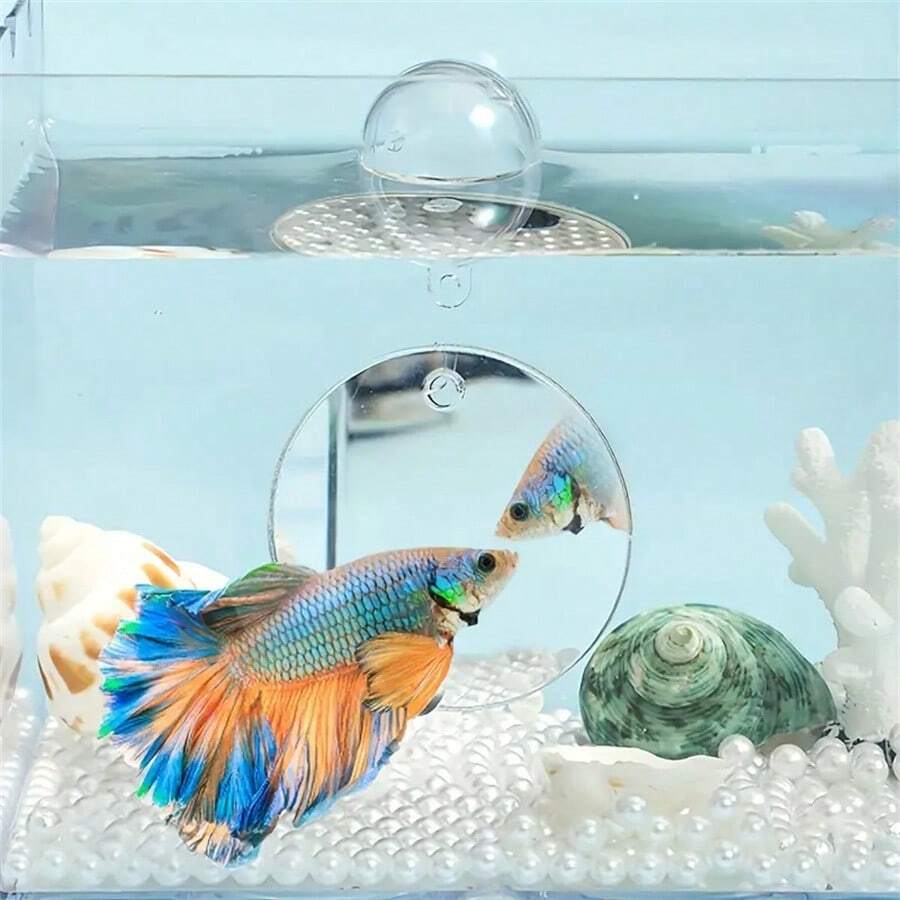 1pc Reversible Double-Sided Betta Fish Training Mirror, Suitable As Aquarium Decoration