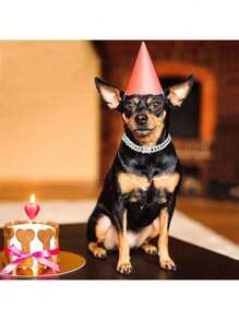 1 Pieza Collar Cubano de Hip Hop para Mascotas, Collar de Mascota con Imitación de Diamantes, Accesorios de Collar de Aleación para Mascotas, Accesorios de Estilo Hip Hop, Adecuado para Uso Diario y Fiestas, Regalos de Halloween y Navidad (Se recomienda pedir una talla talla grande grande)