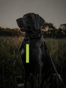 High Visibility Reflective Keychain, Backpack Pendant - Orange, Green, And Black/White Double-Sided Safety Strips - Durable Nylon Ribbon With Mountain Buckle Clip, Perfect For Nighttime Walking, Running, Cycling, Camping, Pets, Unisex, Can Be Given To Family, Friends, Relatives, Colleagues