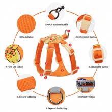 Nuevo conjunto de arnés y correa con estampado lindo de cachorro, para perros pequeños como el caniche y el bichón frisé, para caminar al aire libre