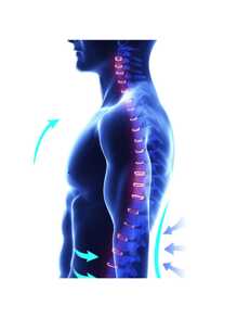Correttore posturale ComfortFit per uomo e donna - Regolabile, ortopedico traspirante - Supporto senza cuciture per schiena superiore, colonna vertebrale, collo e spalle - Ideale per uso quotidiano, stabilizzazione clavicolare - Promuove una postura sana, previene l'incurvamento degli accessori per palestra Fajas lumbari