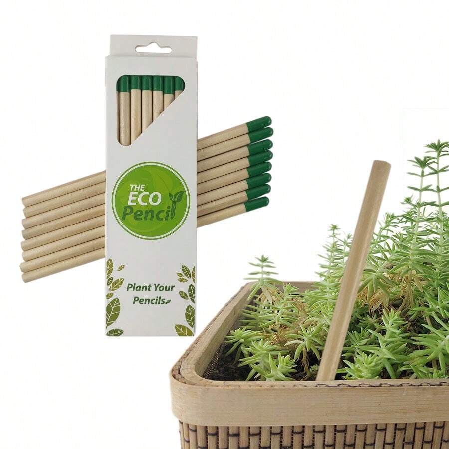 PLANT FUN 8/16 piezas de lápices de madera de grafito sin afilar HB, regalos para maestros, niños creativos y estudiantes, 8 piezas por paquete