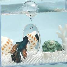 1pc Reversible Double-Sided Betta Fish Training Mirror, Suitable As Aquarium Decoration - Multicolor - View 6
