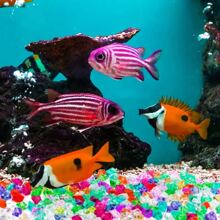 500pcs Artificial Ice Cubes - Transparent Colored Crystal Stones, Fake Ice Cubes For DIY Photography Props, Acrylic Ice Blocks For Fish Tank Decor Gifts Birthday Graduation - Multicolor - View 5