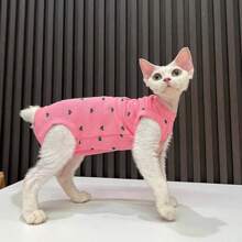 Solid Color Pet Clothes, Elastic 4-Leg Wear For Sphynx & Devon Rex Hairless Cats, Pet Cat Apparel - Pink - View 1