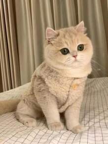 可爱ins风宠物服装，秋冬款狗狗猫咪保暖羊毛背心外套