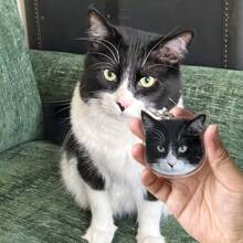 1 breloc personalizat din policarbonat (PC) cu portret de animal, câine/pisică, potrivit pentru toate anotimpurile, cadou excelent pentru Crăciun, Ziua Îndrăgostiților, Anul Nou Chinezesc, rechizite școlare, întoarcerea la școală, pentru birou, pentru școală, pentru clasă, pentru cadouri pentru profesori, pentru universitate, pentru colegi, pentru cămine, pentru profesori, pentru băieți și fete, pentru adolescenți, elevi de gimnaziu, elevi de gimnaziu, elevi de liceu, elevi de facultate, studenți, elevi de universitate, elevi în anul I, elevi în anul II, elevi în clasele I-II.